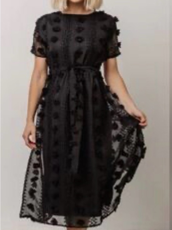 Baltic Born Dresses & Skirts - Baltic Born Darbi Floral Dot Midi Dress Black Small Sheer Romantic Cottagecore